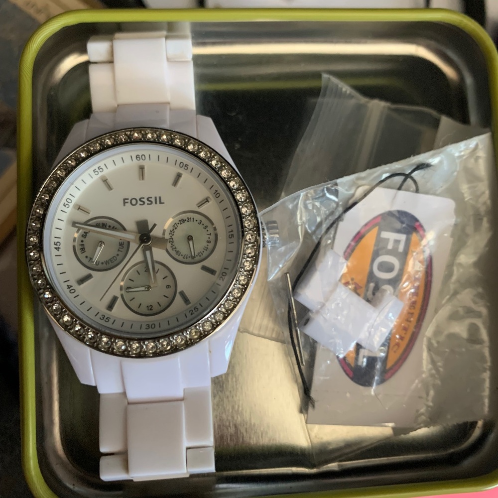 Fossil Watch 🤍